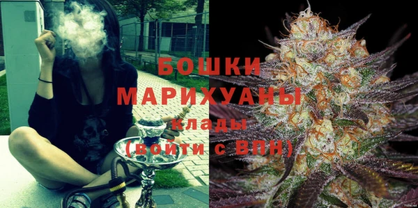 Альфа ПВП Каменка