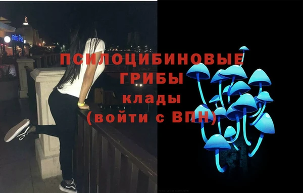 СК Каменск-Шахтинский