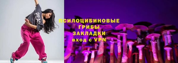 СК Каменск-Шахтинский