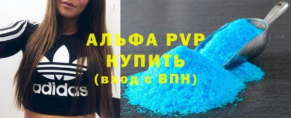 Альфа ПВП Каменка