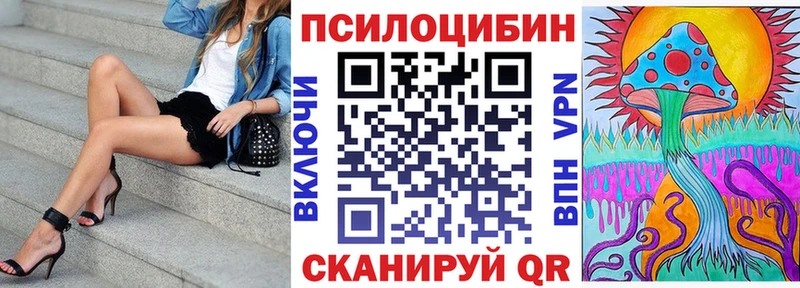 Псилоцибиновые грибы Psilocybine cubensis  Купить закладки  Красный Холм 